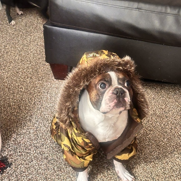 Pet Life Metallic Fashion Dog  Camouflage  Parka Coat with Removable Hood - Picture 5 of 7